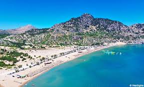 Image result for Thamnosma rhodesica