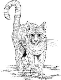 Ocelot Kizi Free 2020 Printable Coloring Pages For Children Coloring Pages