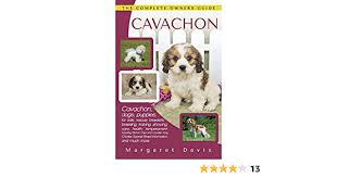 These fluffy, loving cavachon puppies are a cross between a cavalier king charles spaniel and a bichon frise. Cavachon The Complete Owners Guide Cavachon Dogs Puppies For Sale Rescue Breeders Breeding Training Showing Care Health Temperament Frise And Cavalier King Charles Spaniel Davis Margaret 9781910915035 Amazon Com Books