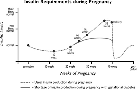 Pregnancy With Diabetes Your Guide To Each Trimester