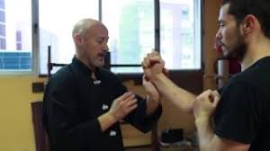 Resultado de imagen de sifu jesus carballo