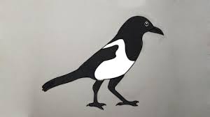 Pie, magpie, bird in 9 different views and actions. How To Draw A Magpie Step By Step Draw A Magpie For Kids Easy Free Hand Magpie Drawing Youtube