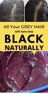 Home Remedies For Grey Hair They Will Turn Into Black Naturally Hair Haircare Greyhair Homeremedies H Stop Grey Hair Natural Gray Hair Grey Hair Remedies