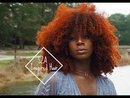 You will also find orange hair with subtle balayage highlights that have been making headlines in the hair trend industry. Afro Hair Dye Hair Color For Black Hair Dyed Natural Hair