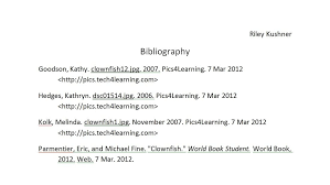 Do not italicize, underline, bold or put the words in quotation marks. Mla Format Bibliography Website Example Essay Example Essay Format How To Write