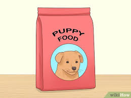If the first three weeks of life were the sleepyhead phase, this is the phase of awakenings! 3 Ways To Care For An 8 Week Old Puppy Wikihow