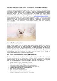 We offer over 17 years in industry experience. Rolly Teacup Puppies By Micro Poodle Issuu