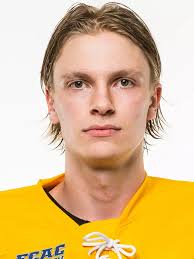 2017-18 Men's Ice Hockey Roster