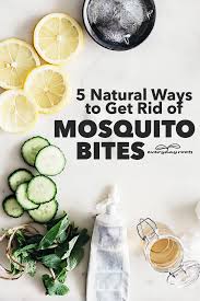 Try no seeum repellent for your skin with no deet. 5 Natural Ways To Get Rid Of Mosquito Bites Everyday Roots