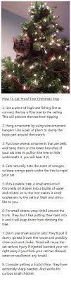 How To Cat Proof Your Christmas Tree Cat Proof Christmas Tree Cat Proofing Funny Christmas Tree