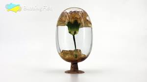 Drying the flowers in silica gel removes the moisture without altering the shape of the flower blossom. Making A Dragon Egg With Wood Flower And Resin Resin Art Resin Art Dragon Egg Dried Flowers