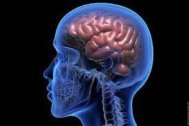 Gehirnjogging macht spaß ➠ und verbessert die kognitiven fähigkeiten. Gehirnjogging Kostenlose Ubungen Fur Dein Gedachnis