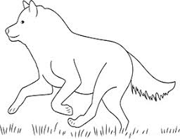Ausmalbild Wolf Im Zoo In 2020 Ausmalen Ausmalbild Zootiere