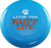 V.I.P. Walmart Flying Disc Dog Toy, Multi-color