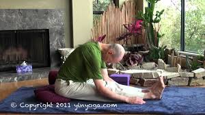 Caterpillar To Substitute For Snail Pose In Yin Yin Yoga Poses Yin Yoga Yoga For Legs
