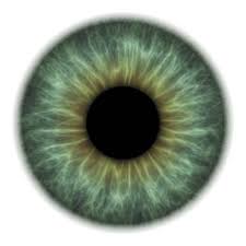 Photographic Print Eye By Pasieka 24x24in Eye Drawing Eye Texture Iris Eye
