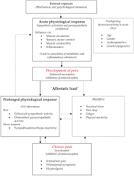 Autonomic Regulation In Musculoskeletal Pain Intechopen