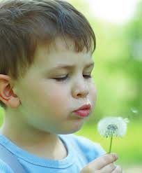 ICS 2015-16 Annual Report and Forecast