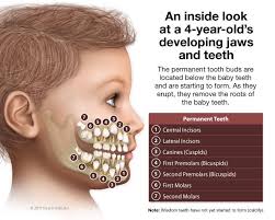 Dr. Jack Ringer is the best Dentist in Anaheim Hills, CA