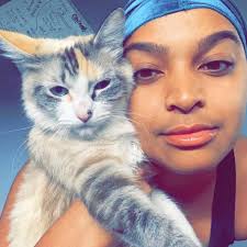 Adorable cat Mercy in Meow Meow World