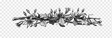 Flower border clip art views: Border Flowers Black And White Flower Monochrome Typeface Flower Png Pngwing