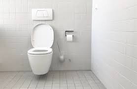 Not everyone likes surprises, especially onboard an airplane. Thoughts On The Motion Sensor Flush Billie Julianna