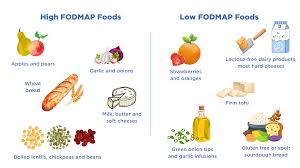 Image result for FODMAP