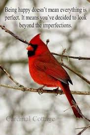 Look Beyond The Imperfections Bird Quotes Cardinal Birds Cardinals