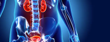 Image result for Intravenous Pyelogram