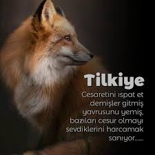 Gulom Adli Kullanicinin Guzel Sozler Panosundaki Pin 2020 Tilki Guzel Soz