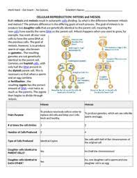 Practice reading by yourself as often as possible. Mitosis And Meiosis Worksheets Teaching Resources Tpt
