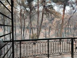 Σύλλογος για την προστασία της φύσης και των αδέσποτων ζώων. 6iojne11pduyvm