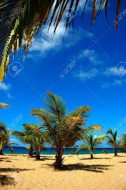 Puerto rico mide aproximadamente 100 millas de largo y 39.5 de ancho. Vista De Playa Guajataca En El Lado Oeste De Puerto Rico Tipica Playa Caribena Perfecto Fotos Retratos Imagenes Y Fotografia De Archivo Libres De Derecho Image 10518153