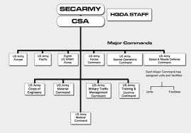 Organization Structure What Is Functional