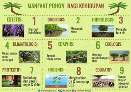 Satu tindakan yang wajar, namun terlalu bodoh untuk di lakukan terus menerus. Manfaat Pohon Bagi Kehidupan Manusia Dan Lingkungan Dinas Lingkungan Hidup