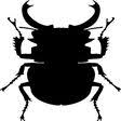 Our process and attention to detail ensures we are able to eliminate your pest problems with guaranteed satisfaction or your money back! The 10 Best Pest Control Exterminators In Farmington Nm 2020 Porch