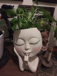 Etsy plant cuttings and small plant orders?