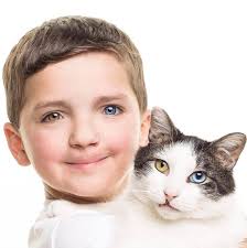 Grimsby Blue Cross animal hospital