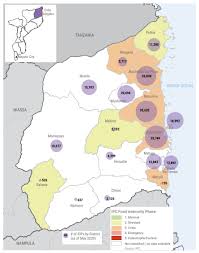5 maps of cabo delgado province physical satellite road map terrain maps. Cabo Delgado Province Mozambique Country Risk Report Rr Power School