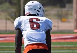 Its tuition and fees are $31,580. Meet 2020 Nfl Draft Prospect Ravon Alexander Wr Ottawa University