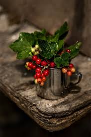 Red Currant By Oksanka Sybydlo On 500px Red Currant Fruit Photography Fruit