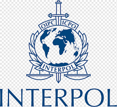 No special skills are required. Interpol Eurojust Logo Crime Organization Police Text People Logo Png Pngwing