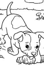 Dessin & coloriage de chien en ligne, gratuit à imprimer pour colorier chien avec les enfants et adultes. Coloriage Petit Chien En Ligne Gratuit A Imprimer
