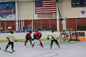 The term roller hockey is often used interchangeably to refer to two variant forms chiefly differentiated by the equipment used. Photos Florida Cup Roller Hockey