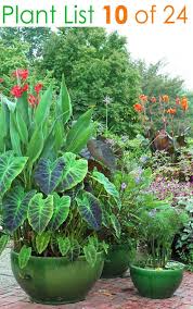 24 Stunning Container Garden Planting Ideas In 2020 Plants Container Garden Design Container Plants