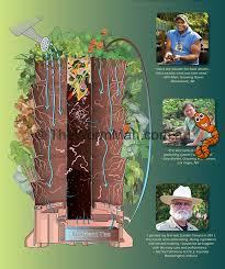 How many worms for garden tower. Garden Tower Worms For Worm Farms Education