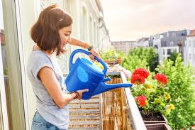 Check spelling or type a new query. Jardinage Six Conseils Pour Prendre Soin De Vos Plantes Pendant Les Vacances