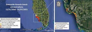 Ecosystem assessment & restoration section: Red Tide Continues From Captiva South To Marco Fort Myers Florida Weekly