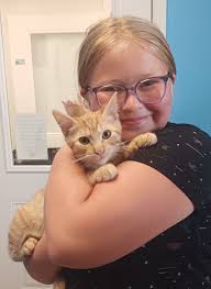 UPDATE!! Jingle is HOME! ATTENTION COMMUNITY! This is Jingle. Jingle got  spooked last night from fireworks 6/24 and has not made her way back home.  Jingle was wearing a turquoise collar and