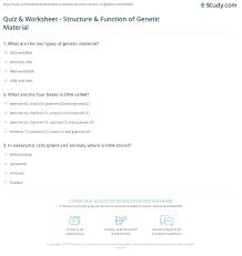 What is happening to the dna molecule in the figure. Quiz Worksheet Structure Function Of Genetic Material Study Com